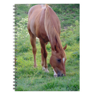 Kastrera för Sorrel Anteckningsbok