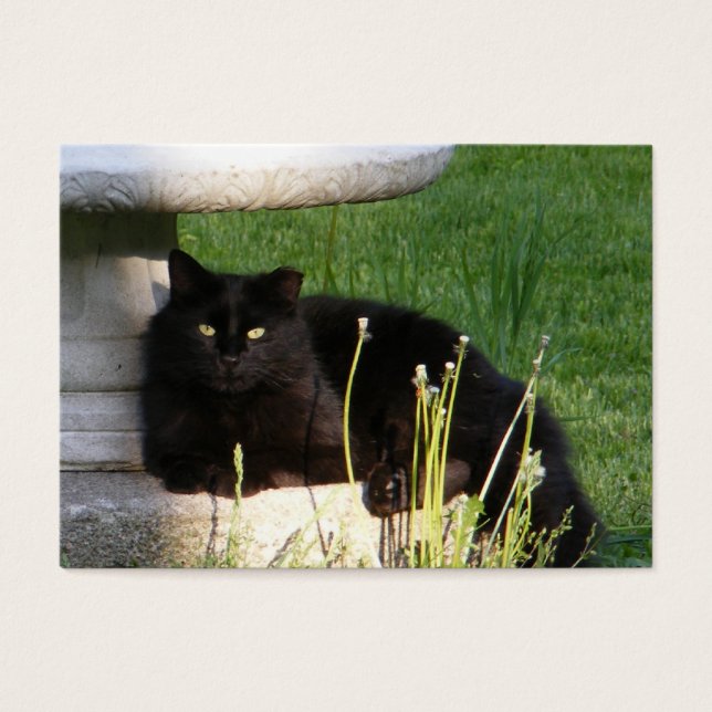 Kat 120 ~ ATC Visitkort (Framsidan)