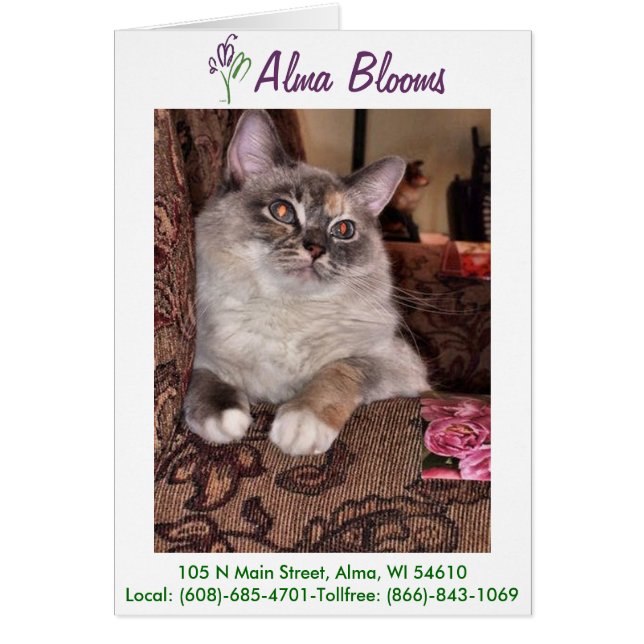 Kat 3 hälsningskort (Framsidan)