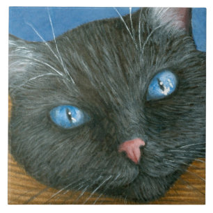 Kat 414 Svart katt Kakelplatta
