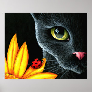 Kat 510 poster