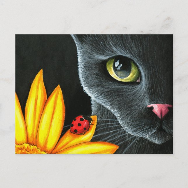 Kat 510 vykort (Framsida)