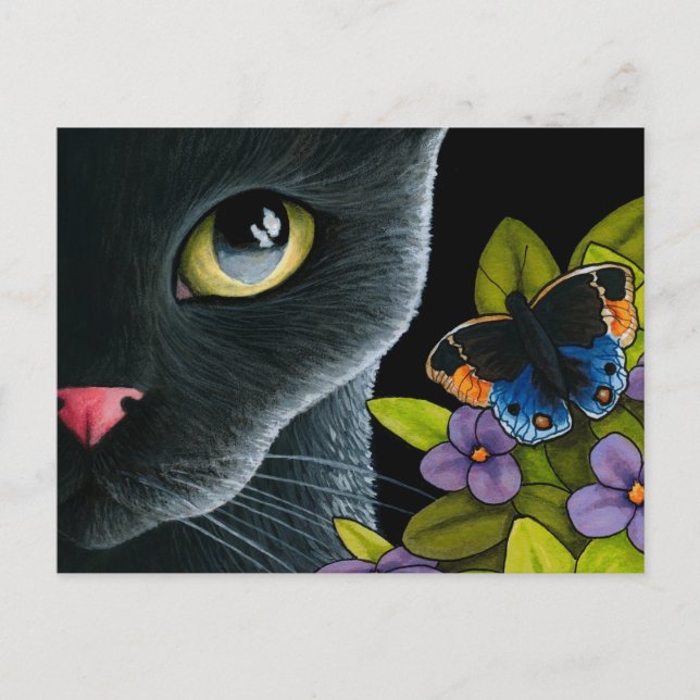 Kat 557 vykort (Framsida)