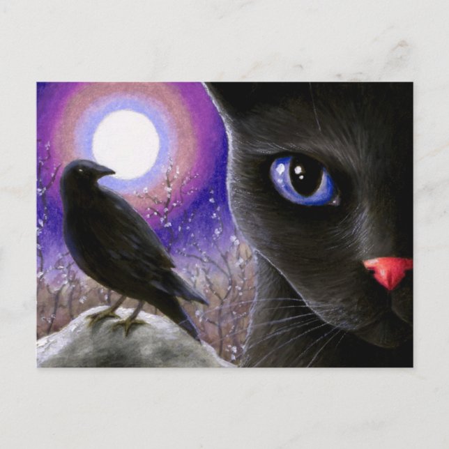 Kat 570 vykort (Framsida)