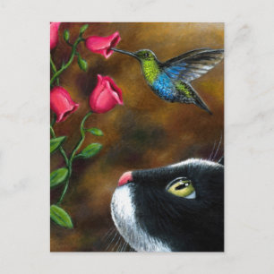 Kat 571 Tuxedo med Hummingbird Vykort