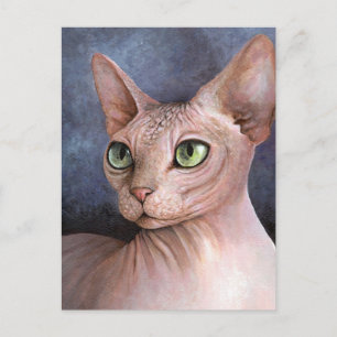Kat 578 Sphynx Vykort
