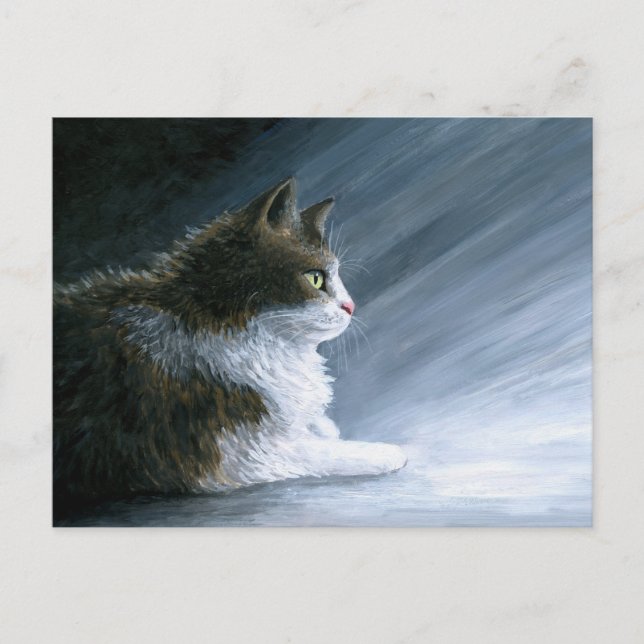 Kat 594 vykort (Framsida)