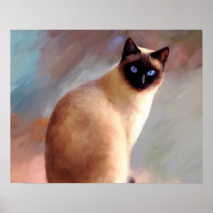 Kat 613 siameser poster
