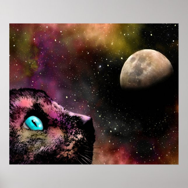 Kat 619 poster (Framsidan)