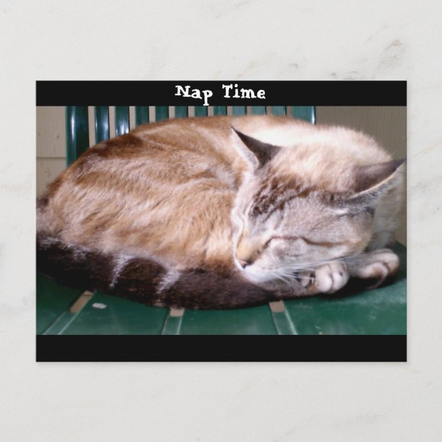 Kat 7, Nap-tid,vykort Vykort (Framsida)