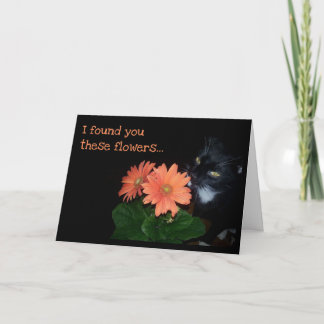 Kat Aat din födelsedag Kort