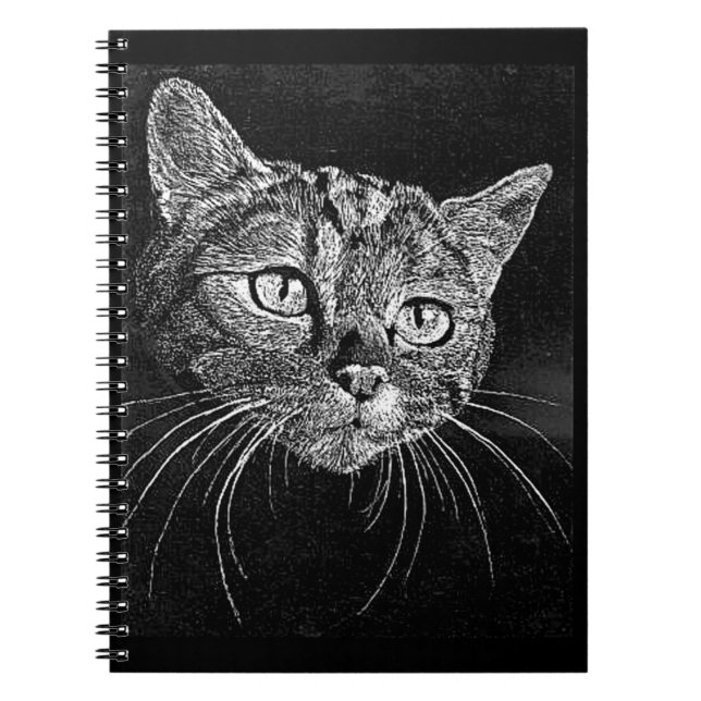 Kat Ansikte ... ANTECKNINGSBOK (Framsidan)
