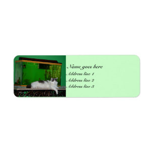 Kat aquarium Label Returadress Etikett