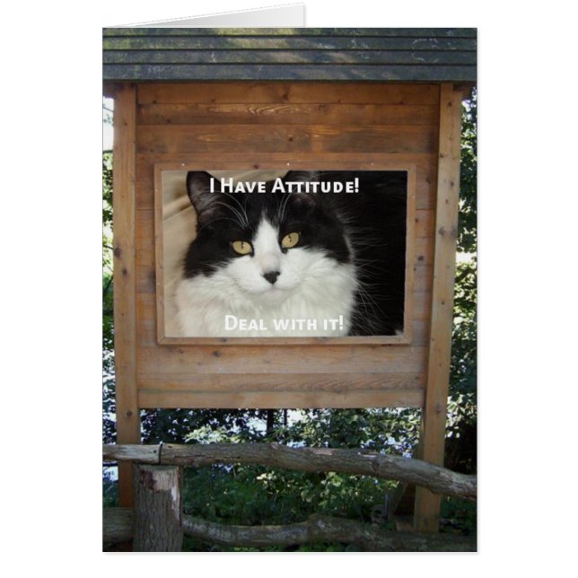 Kat Attityd Hälsningskort (Framsidan)
