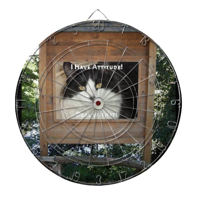 Kat Attityd Piltavla (Framsidan)