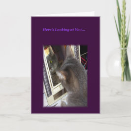 Kat Birthday Card för henne Kort