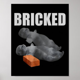 Kat Brickad Lustigt Fånig för utcheckat PM Cats Sa Poster