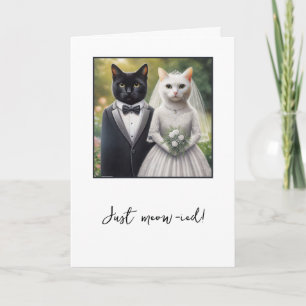 Kat Bride and Groom Gratulerar Kort