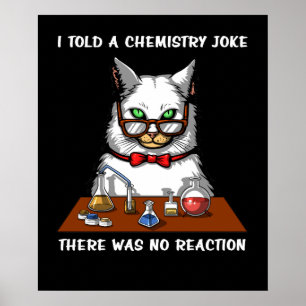 Kat Chemistry Teacher Funny No Reaction Joke Poster