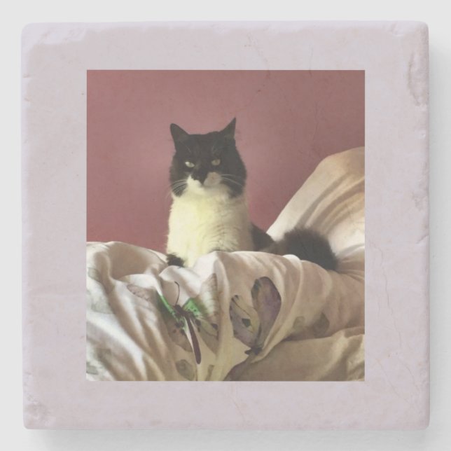 Kat chillax stenunderlägg (Framsidan)