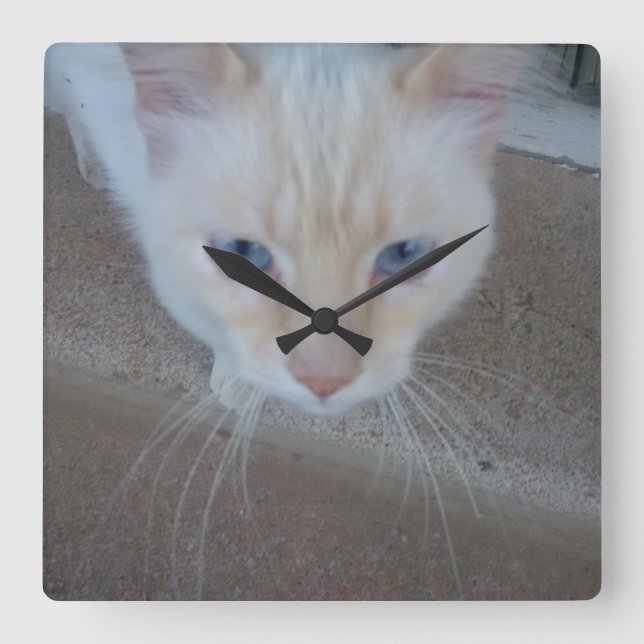 Kat Clock Fyrkantig Klocka (Framsida)