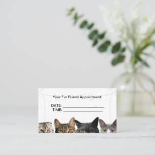 Kat Crowd Business Appointards Tidsbeställning Kort