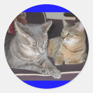 Kat-dekal Runt Klistermärke