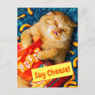 Kat Eating Cheese Puffs Inbjudan Vykort
