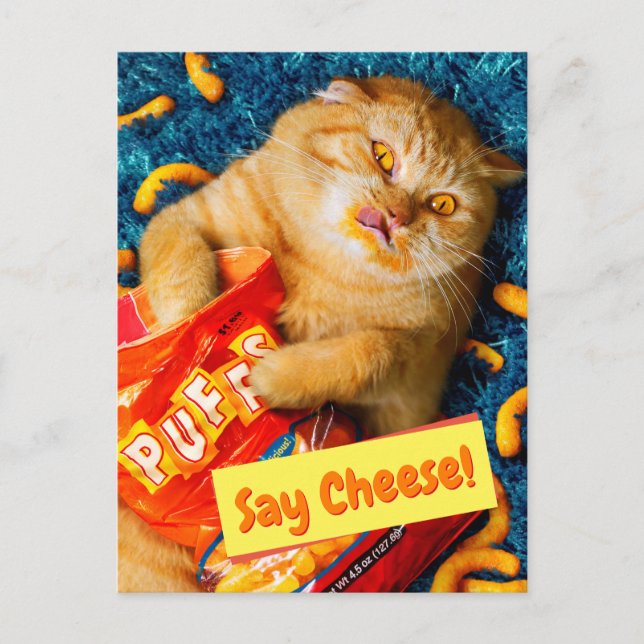Kat Eating Cheese Puffs Inbjudan Vykort (Framsida)