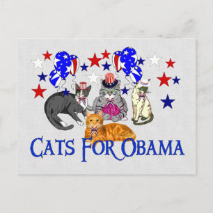 KAT FÖR OBAMA VYKORT