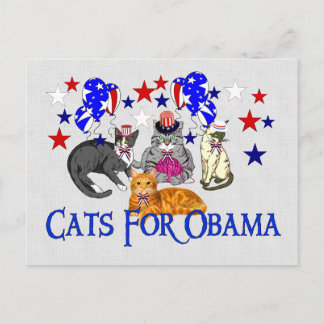 KAT FÖR OBAMA VYKORT