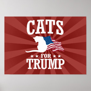 KAT FÖR TRUMP POSTER