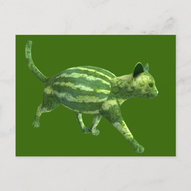 Kat för vattenmelondagen vykort (Framsida)