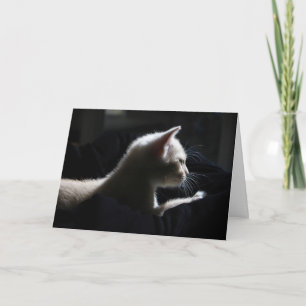 Kat Glad födelsedagskort Kort