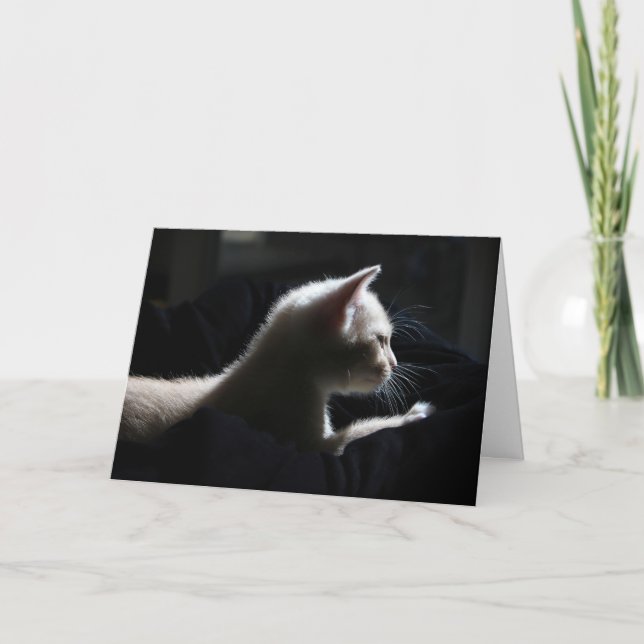 Kat Glad födelsedagskort Kort (Framsida)