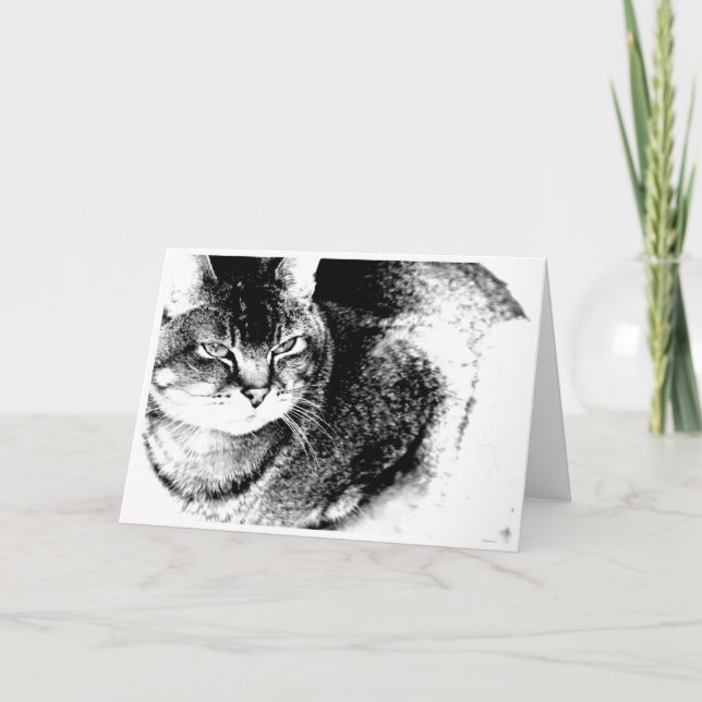 Kat-hälsningskort Kort (Framsida)