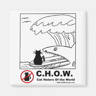 Kat Haters Surfing Magnet