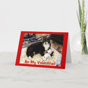 Kat & Hund Valentine Helgkort