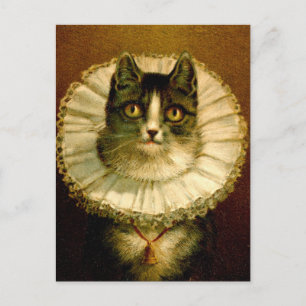 Kat i Elizabeth Collar Costume Postcard Vykort