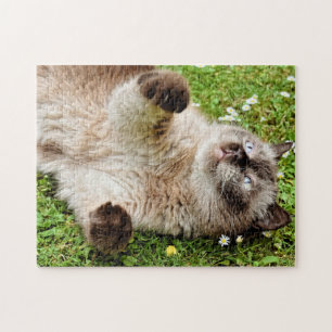 Kat i Garden Puzzle Pussel