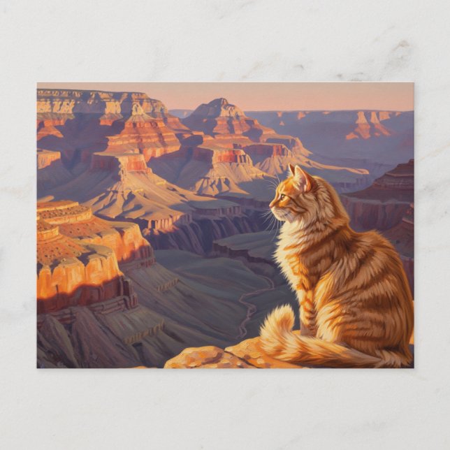 Kat i Grand Canyon nationalpark Vykort (Framsida)