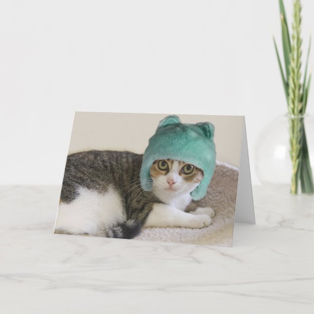 Kat i Hat Birthday av Focus för en sak Kort (Framsida)