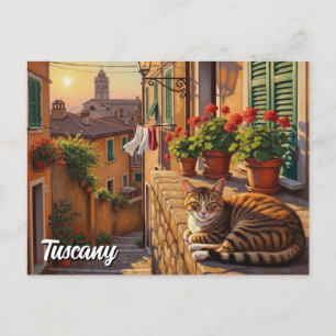 Kat i Italien Toskana Vykort