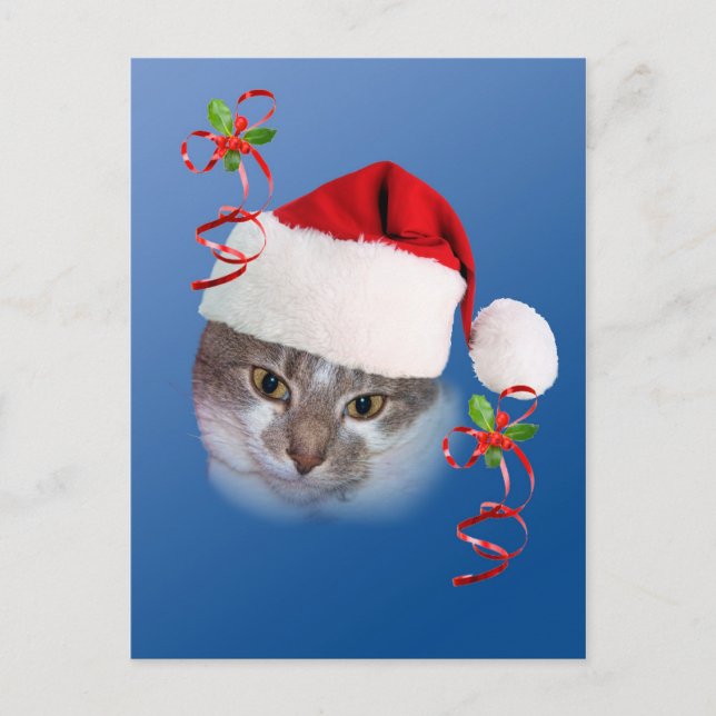Kat i jultomtvykort helg vykort (Framsida)