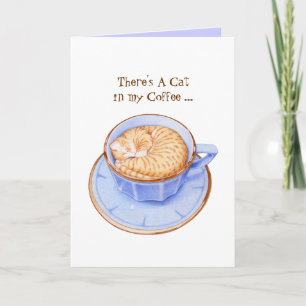 Kat i kaffekort kort