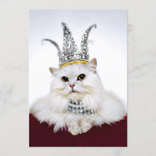 Kat i Krona Inbjudningar