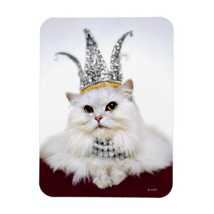 Kat i Krona Magnet