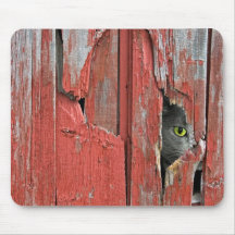Kat i lada (hål)