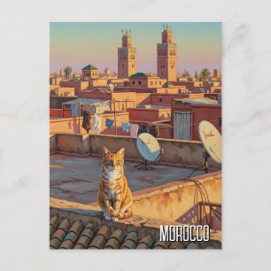 Kat i Marrakech Marockos resor Vykort
