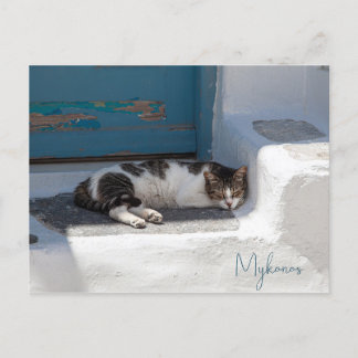 Kat i Mykonos Vykort